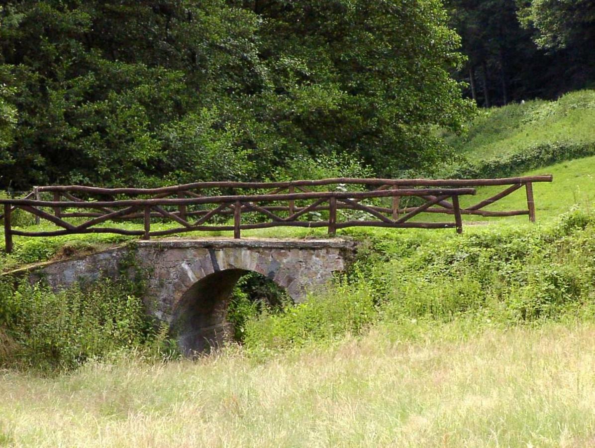 Wildbach Appartement Ober-Hambach Eksteriør billede