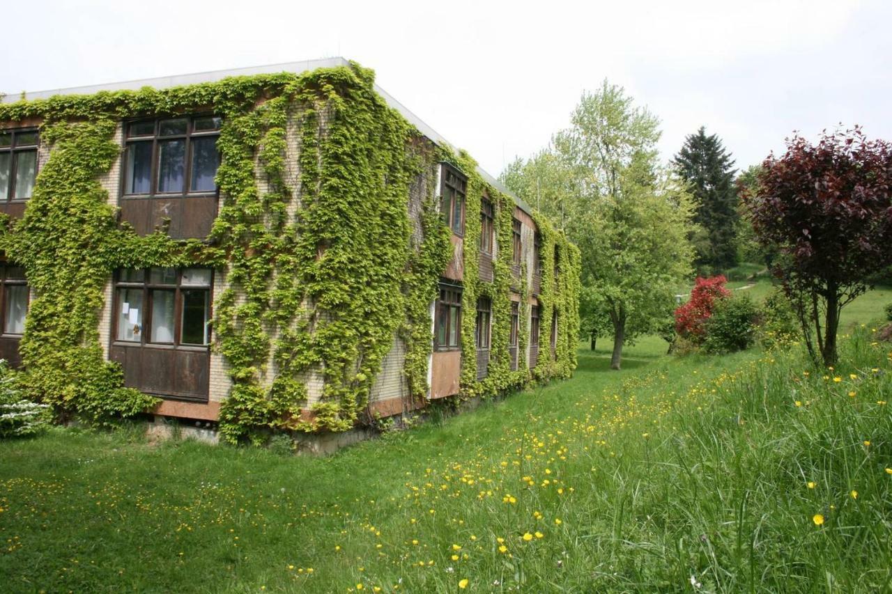 Wildbach Appartement Ober-Hambach Eksteriør billede